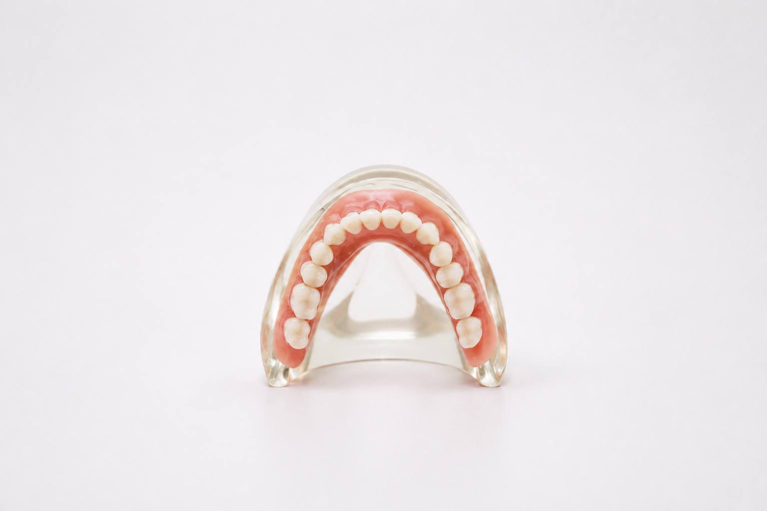 Diagram of implant supported dentures at 33624 dentist office
