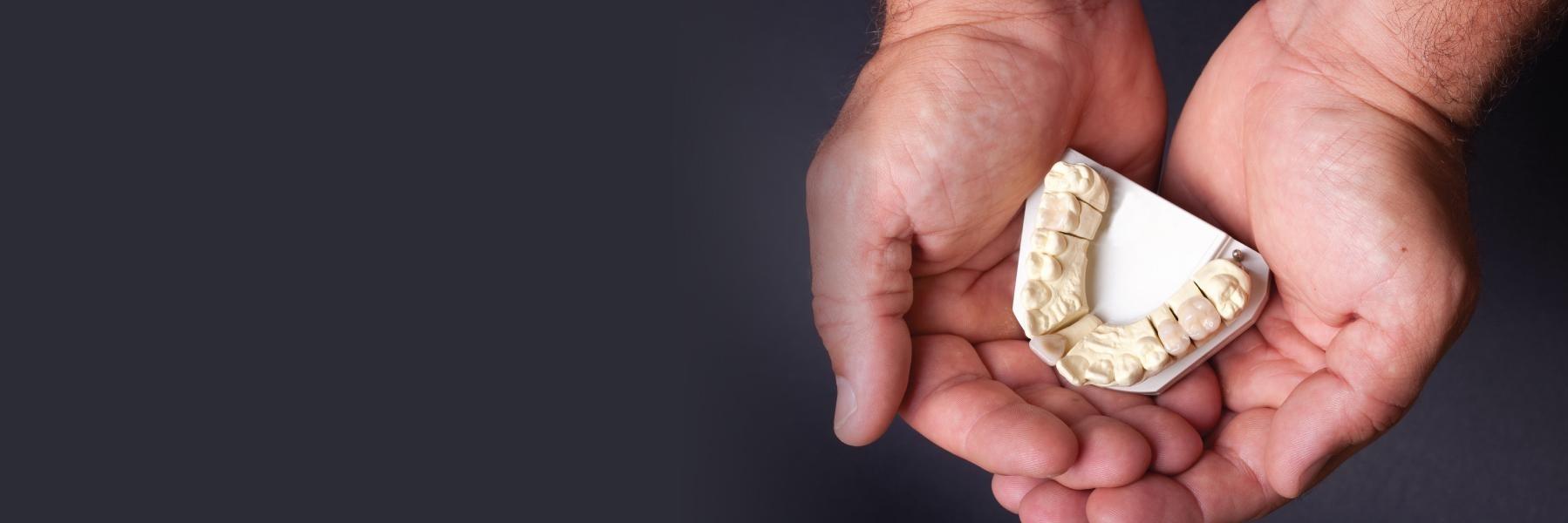 Hands holding a model of teeth at dentist office in Carrollwood